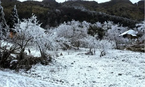 Dự báo thời tiết 20/1: Miền Bắc đón đợt không khí lạnh cực mạnh, dự báo nơi nào rét nhất?