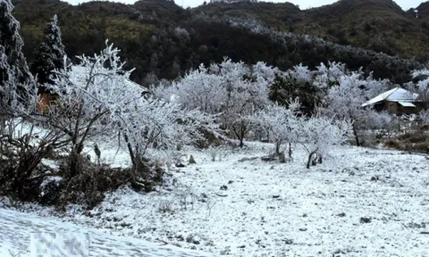 Không khí lạnh tăng cường cực mạnh, miền Bắc "chìm" trong rét đậm trên diện rộng