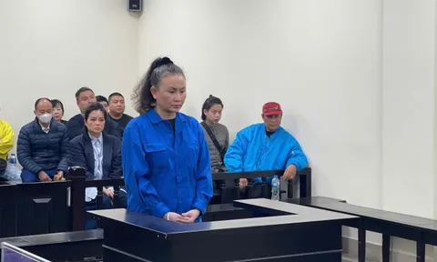 'Hứa' mua hộ biệt thự, chiếm đoạt gần 230 tỷ đồng, nữ bị cáo lãnh án chung thân