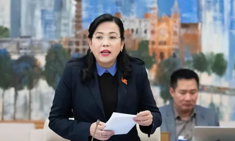 Đề nghị làm rõ trách nhiệm quản lý Nhà nước trong vụ Đồ hộp Hạ Long