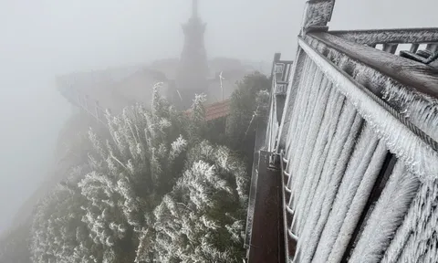 Khoảnh khắc hiếm thấy: “Hoa băng” phủ trắng Fansipan và đỉnh Phia Oắc khi nhiệt độ chạm -3 độ C