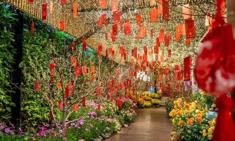 Đón Tết sớm tại một địa điểm ngập hoa ngay trong lòng Hà Nội, ngỡ như đang cùng gia đình ăn bữa cơm tất niên