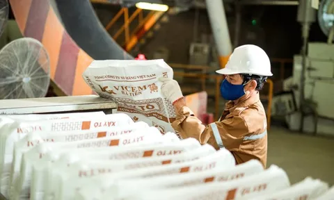 Nợ vay giảm mạnh, Vicem Hà Tiên báo lãi cao nhất 4 năm