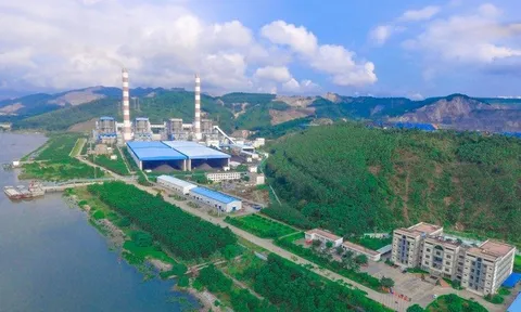 Doanh thu giảm, lợi nhuận Nhiệt điện Quảng Ninh vẫn lên đỉnh 5 năm