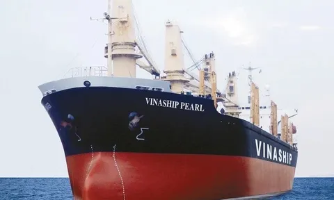 Áp lực thị trường, Vinaship dự tính bán thêm tàu