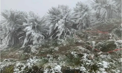 Dự báo thời tiết 24/1: Miền Bắc đón đợt không khí lạnh cường độ mạnh, dự báo nơi rét nhất