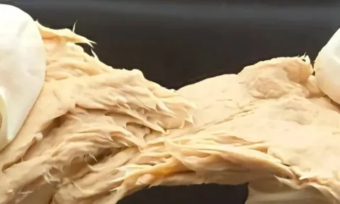 Phát minh của Trung Quốc làm rung chuyển ngành thực phẩm: Chế tạo ra nấm biến đổi gen vị giống thịt, sử dụng ít hơn 70% đất so với chăn nuôi truyền thống