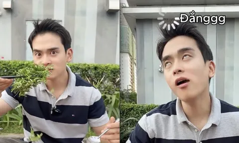 Loại rau đắng ngắt của miền Tây khiến khách Hàn vừa thử đã nghiện: "Ở Hàn Quốc không có hương vị này"