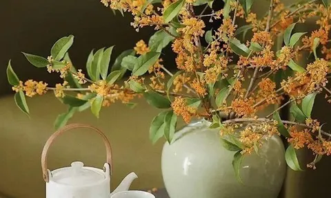 9/10 gia đình giàu lên theo năm tháng đều có chung 1 điểm: Trong nhà luôn có 1 trong 3 loại cây này