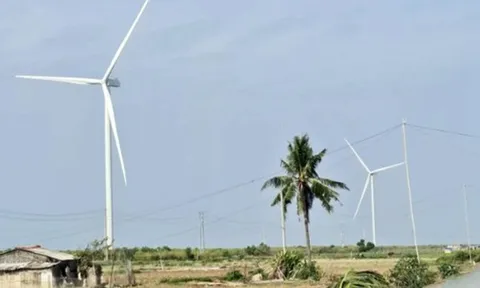 Nhiều doanh nghiệp muốn đầu tư hàng loạt dự án điện gió ở Cần Thơ
