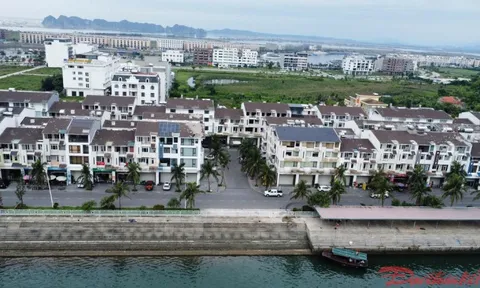 Quảng Ninh tháo gỡ vướng mắc thi hành án liên quan tới Vạn Thịnh Phát