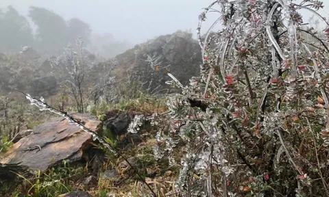 Dự báo thời tiết 26/1: Miền Bắc duy trì rét đậm, cuối tháng 1 thêm đợt không khí lạnh dồn dập tràn về