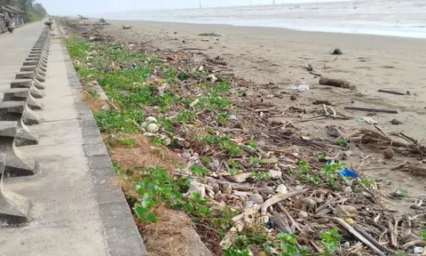 Nhếch nhác khu du lịch Ba Động nổi tiếng