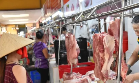 Lý do giá thịt lợn tăng mạnh