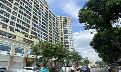 Minh bạch, chuẩn hóa hoạt động nhà chung cư