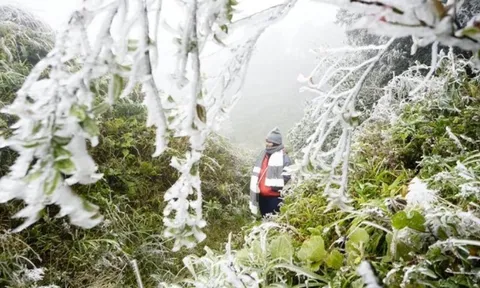 Dự báo thời tiết 28/1: Miền Bắc đón không khí lạnh dồn dập, trời rét đậm kèm sương mù bao phủ