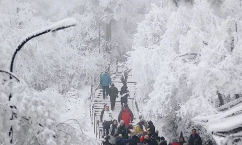 Khách Việt bị yêu cầu giấu túi nilon đi khi du lịch Trung Quốc, lý do phía sau khiến ai cũng lạnh sống lưng