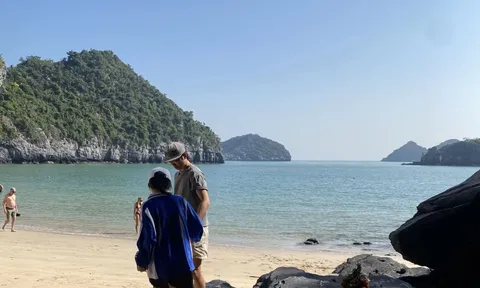 Bãi biển miền Bắc du khách đi mùa đông mà phải thốt lên: "Cứ ngỡ đang ở trời Âu!"