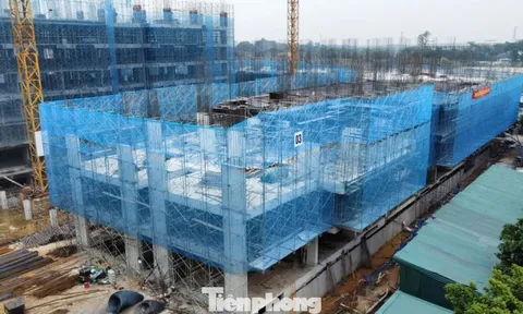 Hướng dẫn mới nhất xác nhận thu nhập mua nhà ở xã hội cho lao động tự do