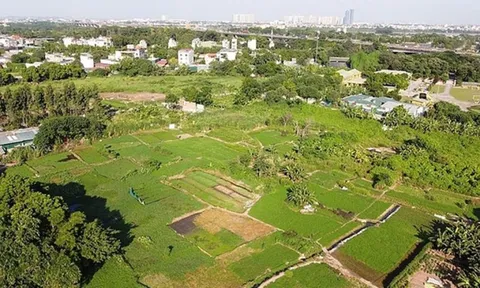 Thu hồi đất khi 75% đồng thuận, người dân có được lợi không?