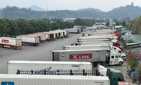 Thủ tướng chỉ đạo 'nóng' về thông quan hàng hóa