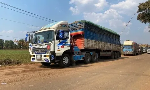 Công điện của Thủ tướng: Ban hành hướng dẫn Nghị định 46 ngay lập tức, báo cáo Chính phủ trước 4/2