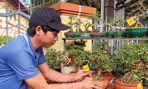 Hoa Tết vào vụ, chợ hoa xuân rộn ràng