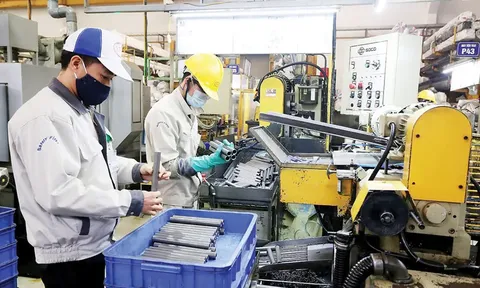 Công bố số liệu tổng điều tra kinh tế 2026 sớm 7 tháng