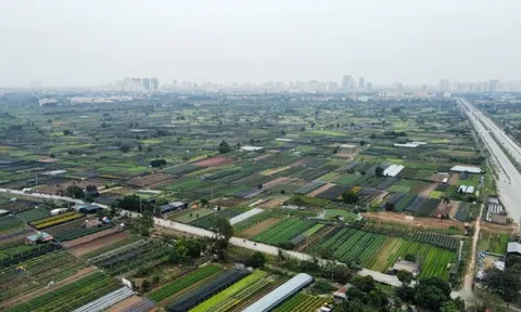 Dự án khu công nghệ cao sinh học hơn 1 tỷ đô được giao đất