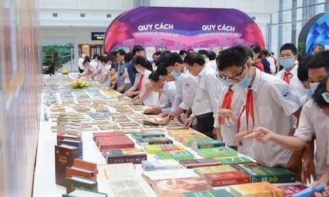 Lợi nhuận quý IV/2025 của SED “bốc hơi” 97%, doanh thu giảm hơn nửa