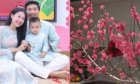 Biệt thự mấy chục tỷ nhà Đoàn Văn Hậu tràn ngập sắc hoa đón Tết, tiểu thư Doãn Hải My khéo chăm quá đi!