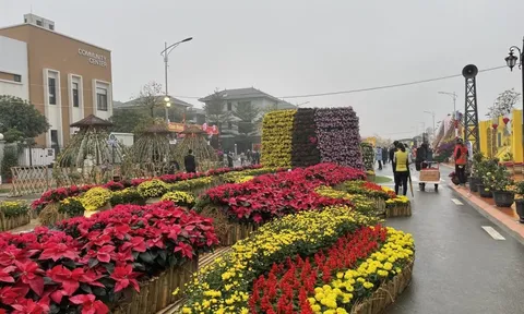 Hà Nội sẽ có thêm đường hoa đúng Tết năm nay: Lần đầu diễn ra tại Di sản UNESCO