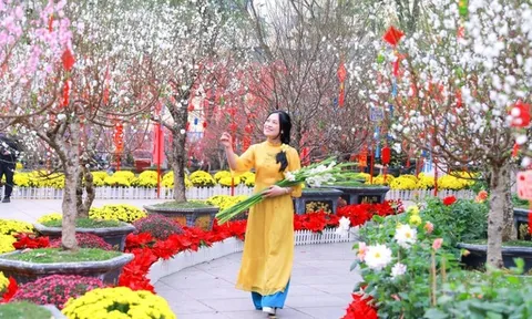 Dự báo thời tiết 17/2: Miền Bắc đón đợt không khí lạnh mạnh ngày đầu năm mới Tết Bính Ngọ, trời mưa rét