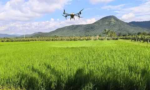 Tương lai mới trên những “cánh đồng không dấu chân”