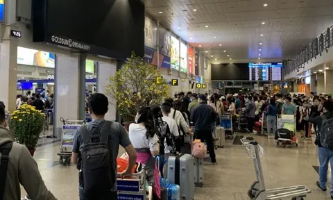 Đi du lịch mồng 5-6 có rẻ hơn mồng 1-2? Con số thực tế khiến nhiều người bất ngờ