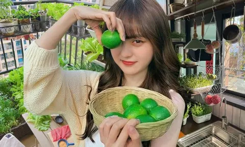 Từ chê “trồng rau là phong trào” đến nghiện thu hoạch: Lần đầu tôi hiểu vì sao người thành phố mê làm nông tại nhà