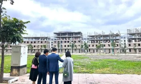 “Lá chắn vàng” của môi giới chuyên nghiệp trong năm mới Bính Ngọ