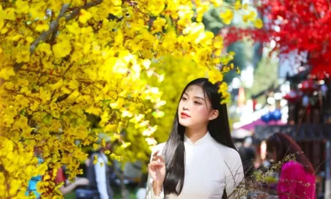 Miền Bắc tăng nhiệt trước khi đón đợt không khí lạnh mới, trời trở rét kèm mưa dông