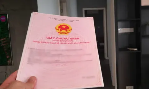 Trường hợp nào được cấp Giấy chứng nhận và miễn tiền sử dụng đất?