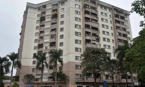 Hà Nội phê duyệt đơn giá cho thuê 33 tòa nhà thuộc tài sản công