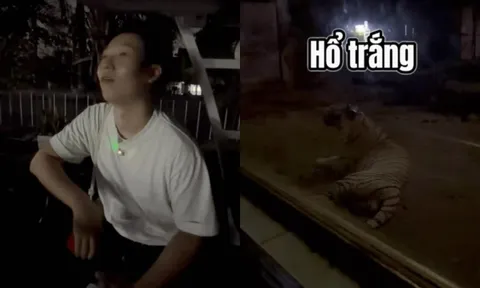 Khách Hàn ngã ngửa đi tour đêm mới biết dàn thú Thảo Cầm Viên cũng bị dí KPI