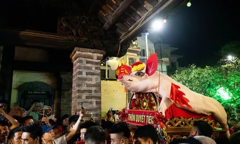 Cả làng La Phù thức trắng vì 17 “ông lợn”: Lợn ăn trứng, ngủ màn, mùa đông sưởi than để chờ giờ rước đình
