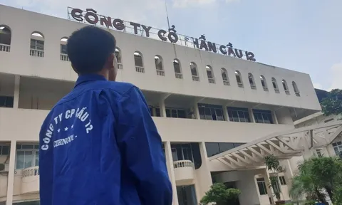 Doanh nghiệp xây dựng hơn 70 năm tuổi từng tham gia xây cầu Mỹ Thuận, Thanh Trì chính thức chia tay sàn chứng khoán