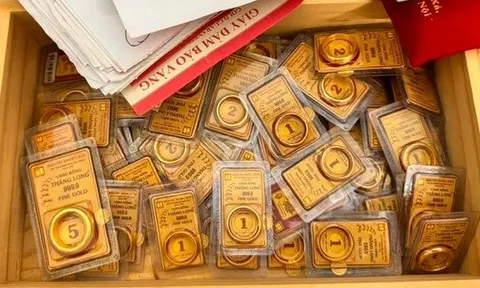 Giọng điệu của người đang có 91 chỉ vàng