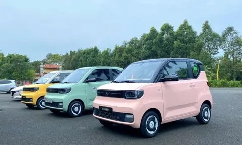 Bị "đánh bật" bởi 45.000 chiếc VF 3, đối thủ của tỷ phú Phạm Nhật Vượng âm thầm rút lui khỏi Việt Nam?