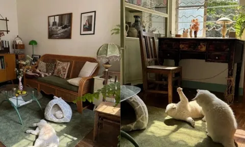 Cụ bà 73 tuổi không phiền con cháu, già đi lặng lẽ trong căn nhà cũ ở quê: Cuộc sống dịu dàng, chữa lành đến lạ