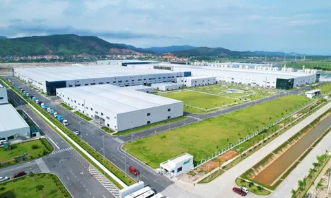 Quảng Ninh lập Đề án Khu kinh tế số và tri thức tự do quy mô hơn 26.000 ha