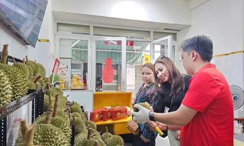 Sầu riêng gai đen tiền triệu mỗi trái vẫn ‘cháy hàng’