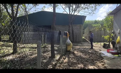 Đường sắt tốc độ cao Bắc - Nam vướng loạt công trình trái phép