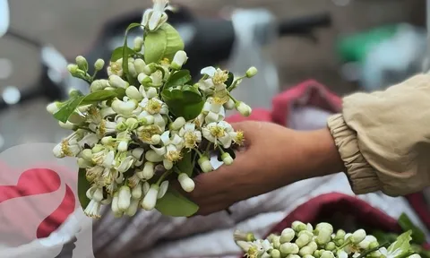 Đặc sản tháng 3 Hà Nội đã xuất hiện!